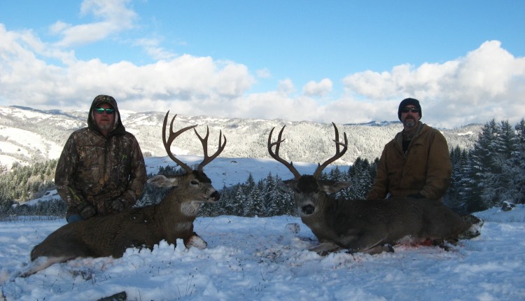 blacktail deer hunting outfitter