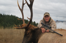 Elk Hunting California Outfitter