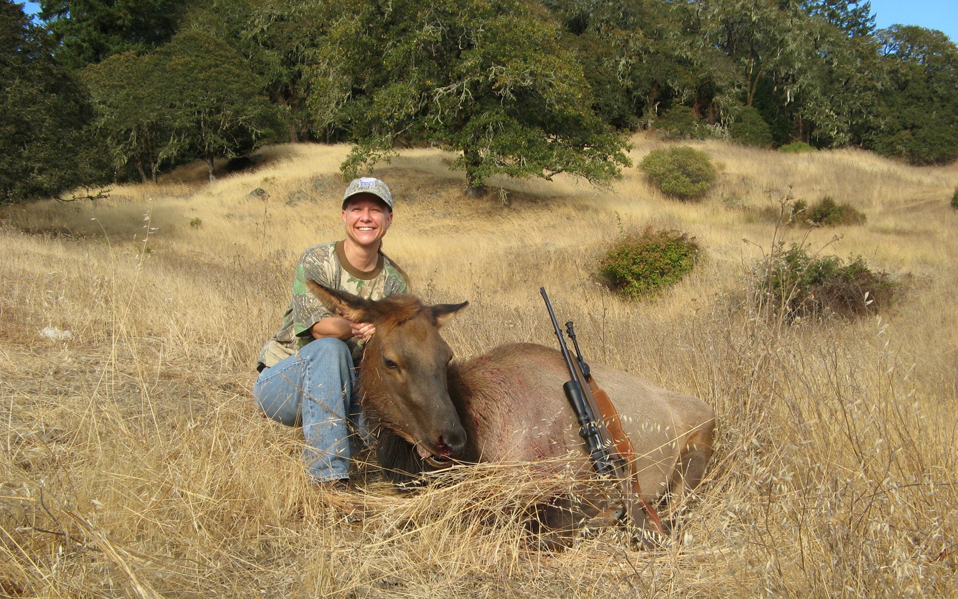 Elk Hunting California guide
