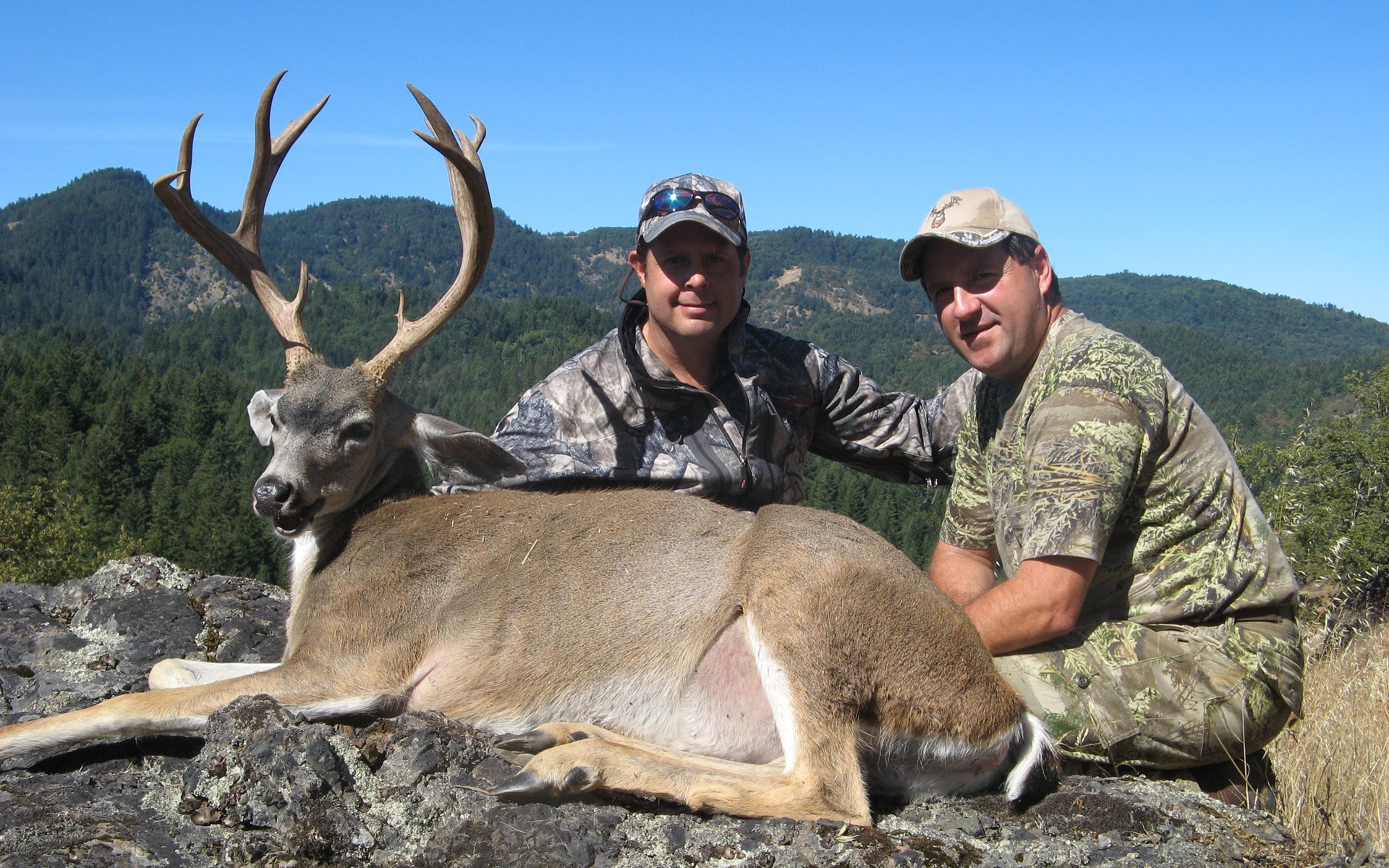 Deer Hunting - Photos