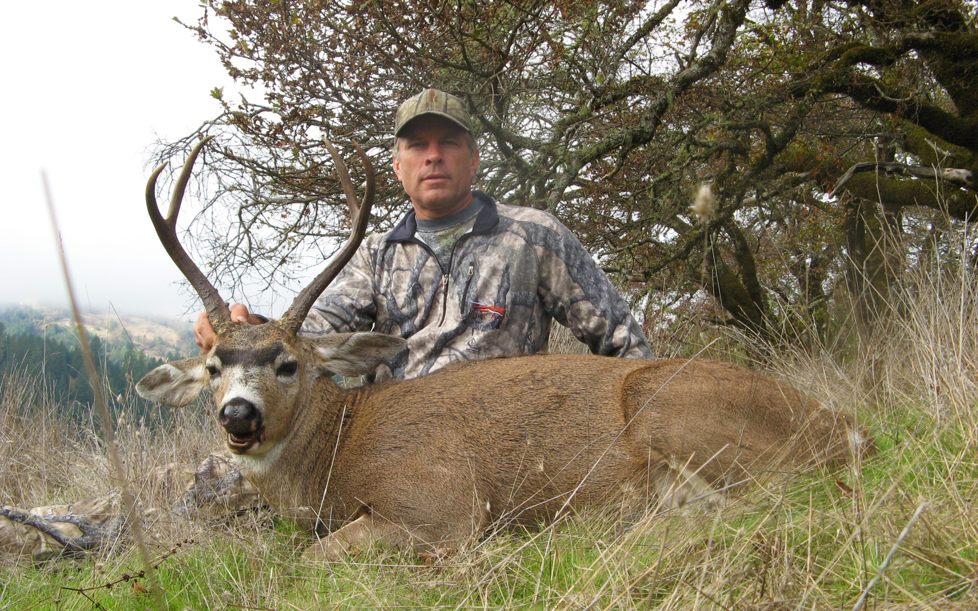 Elk Hunting Blacktail Deer Hunting California