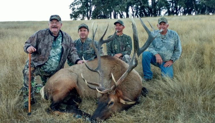 bull elk hunting